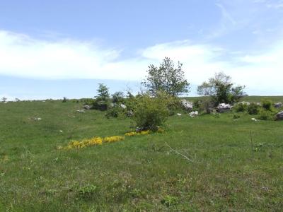 Прикрепленное изображение: DSCF8452.jpg